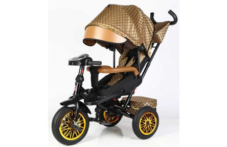 Велосипед 3-х колесный BestTrike Perfetto 8066/910-25