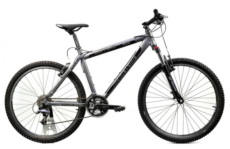 Гірський велосипед CycleWolf Lotys MX 26" L сірий Б/В