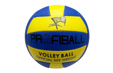 М'яч волейбольний "Profiball" EV-3159(Blue-Yellow-1) № 5