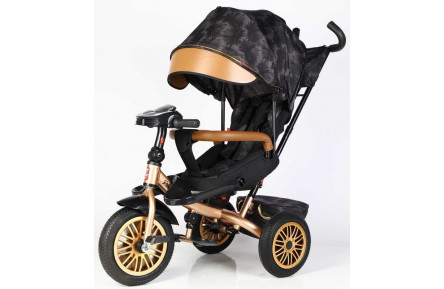 Велосипед 3-х колесный BestTrike Perfetto 8066/380-29