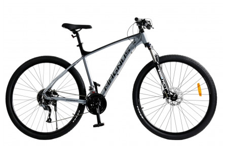 Велосипед Corso MAGNUS MG-91446 29" 21" серый