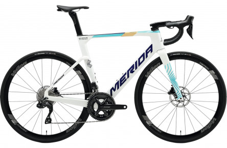 Велосипед 28" Merida REACTO 5000 (2025) pearl/blue-team (M)
