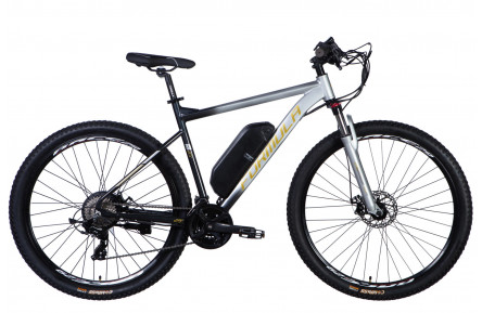 Велосипед з електроприводом 29" AL Formula eF-1 DD CS рама-21" 48B 12.5А*г 500Вт сріблясто-чорний 2026