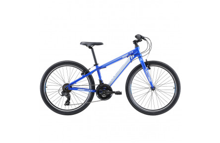 Велосипед Reid Viper 2022 24" 12" синий