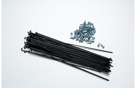 Спиця 141мм 14G St ED з/нип