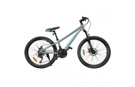 Велосипед SPARK FLEX 24" ал11 ам диск сірий