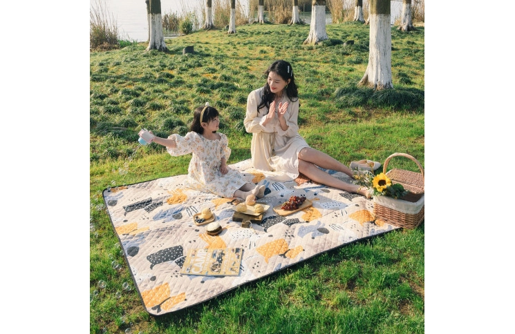 Килимок для пікніка Naturehike Picnic mat L 210*240 NH21FCD01 pet