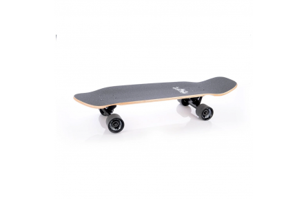 Скейтборд Tempish CARV 28,5" cruiser