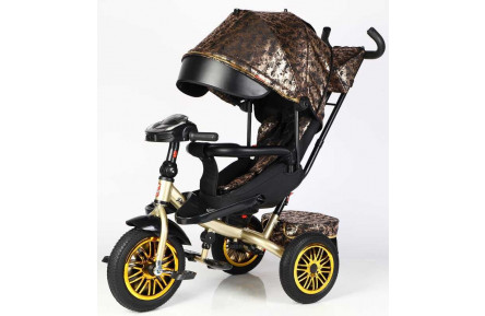 Велосипед 3-х колесный BestTrike Perfetto 8066/819-40