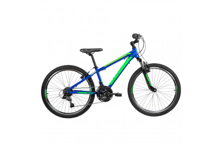 Велосипед Reid Scout 2022 24" 12" сине-зеленый