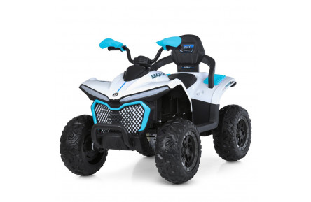 Дитячий квадроцикл-толокар 2 в 1 M 6222EBLR-1-4 до 50 кг