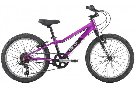 Велосипед 20" Apollo NEO 6s girls Chrome Purple