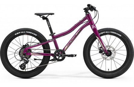 Велосипед Merida MATTS J 20"/24см/7-скоростей