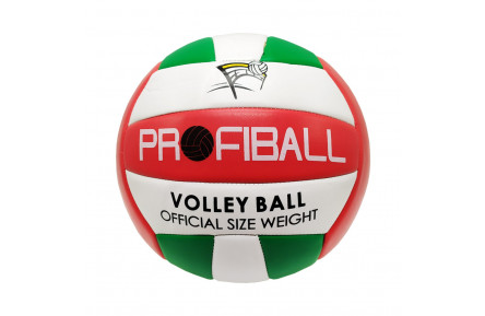 М'яч волейбольний EV-3159 20,7 см Червоно-білий