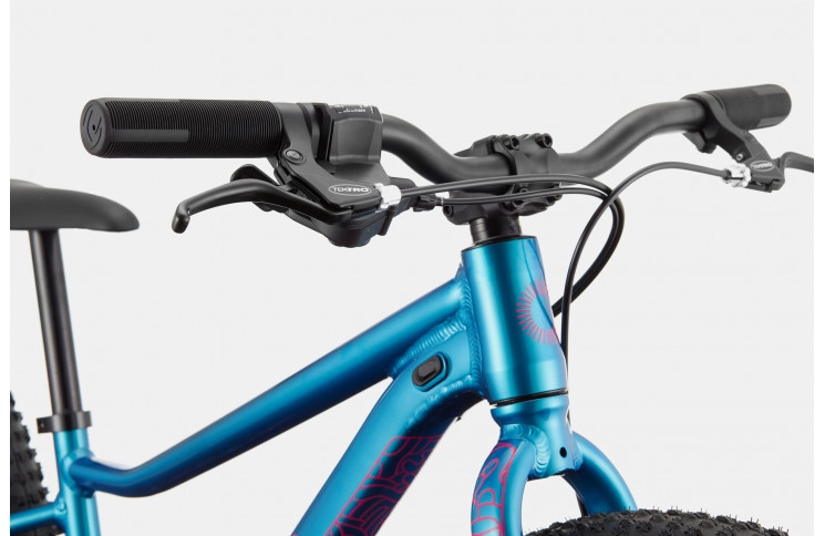 Велосипед 24" Cannondale TRAIL Plus OS 2024 DTE