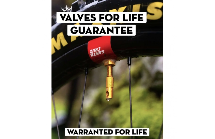 Ниппели Peaty's x Chris King Tubeless Valves, 42mm, Mango