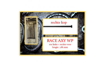 Спицы+ниппеля Miche 10x LV+RV RACE AXY WP