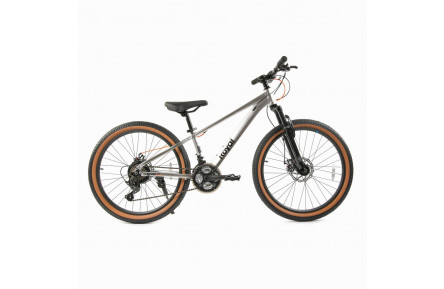 Велосипед дитячий RoyalBaby 24" KING-PLUS 21 SPEED, OFFICIAL UA, Silver