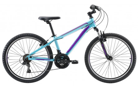 Велосипед Reid Scout 2022 24" One Size голубой