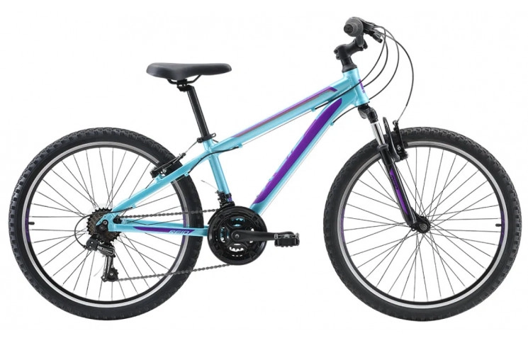 Велосипед Reid Scout 2022 24" One Size голубой