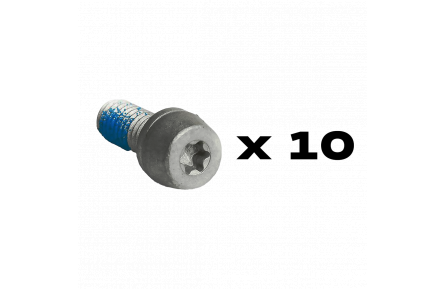 Гвинти PM Torx (алюміній)