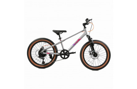 Велосипед детский RoyalBaby 20" JUNIOR MTB ALLOY 7 SPEED, OFFICIAL UA, Silver